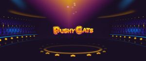 pushy cats