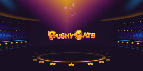 pushy cats
