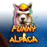 funny alpaca