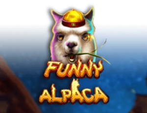 funny alpaca
